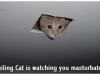 ceiling_cat