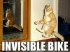 invisible-bike