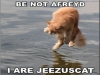 lolcatsdotcom6rfzyrg2hq73u3rt