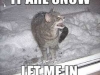 lolcatsdotcomceu1rfm0buc6szix
