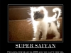 sayan-cat