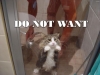 showercatvn0